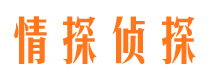 峡江侦探公司